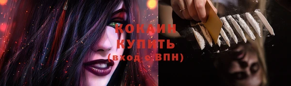 спиды Абаза