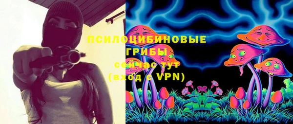 спиды Абаза