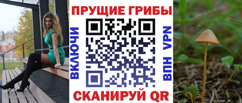 Галлюциногенные грибы Psilocybine cubensis  цена наркотик  Ак-Довурак 